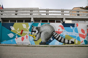 oreste-the-raccoon