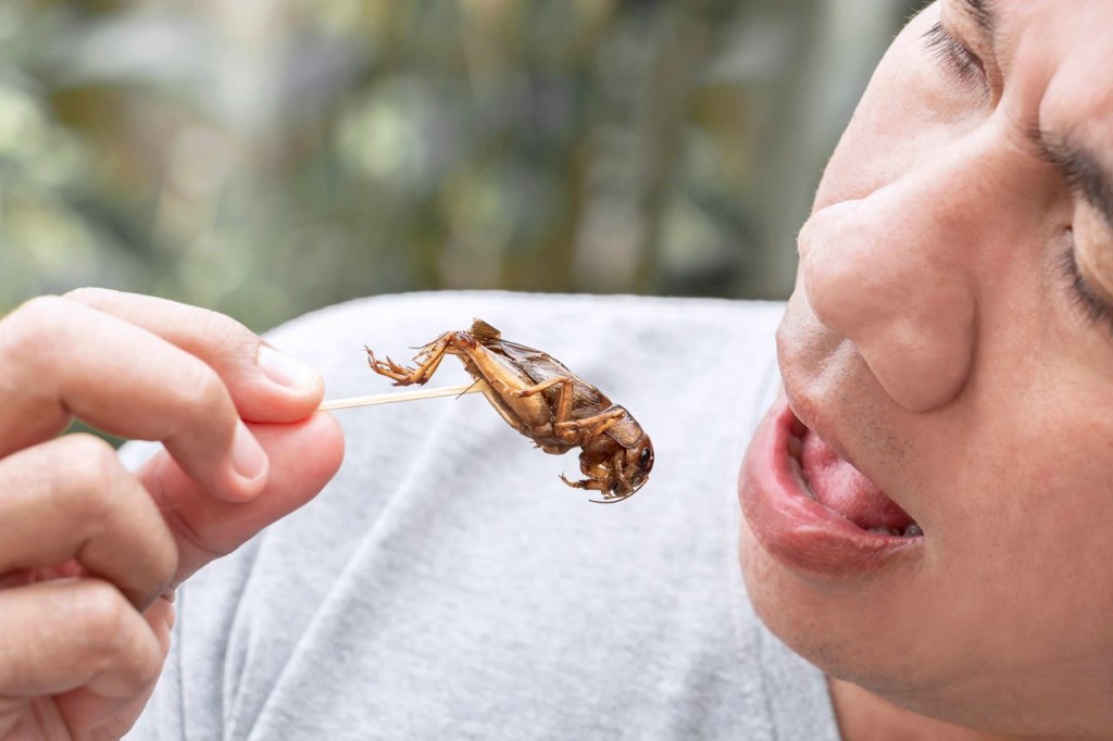 Mangiare insetti per difendersi dalle carestie, questo è il senso dell'entomofagia